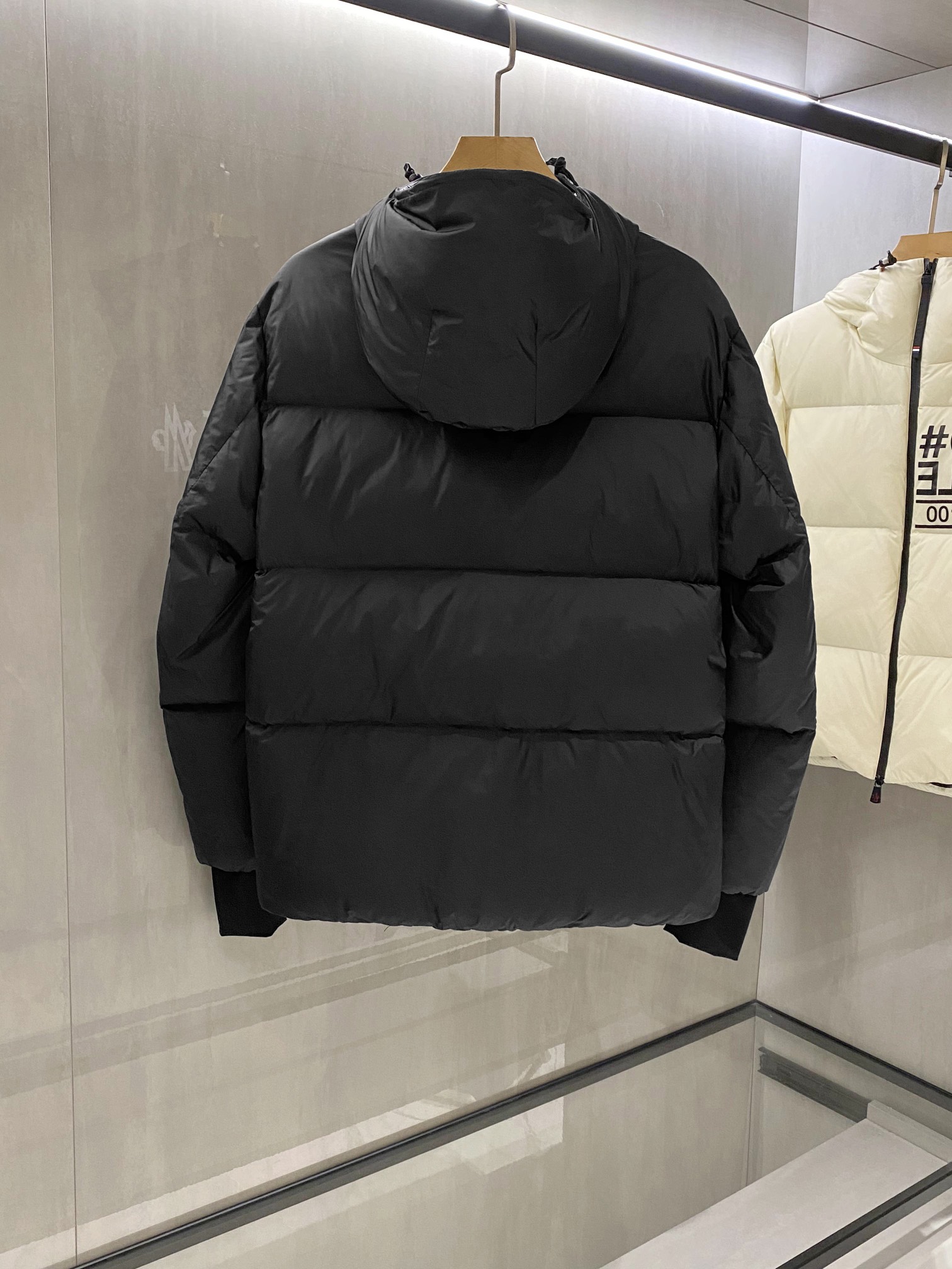 Moncler Down Jackets